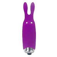 Карманный вибратор "Lastic Pocket Vibe", фиолетовый