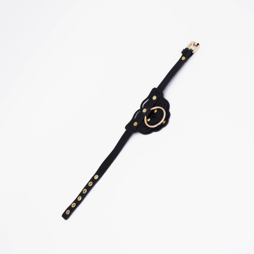 Ошейник с золотистой фурнитурой