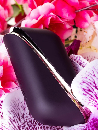 Satisfyer Стимулятор Traveler, aubergine/rosegold 5900 фото 8