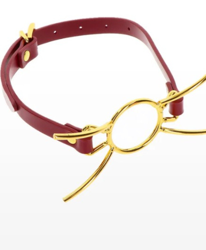 Открытый кляп  Mouth Spider фото 2