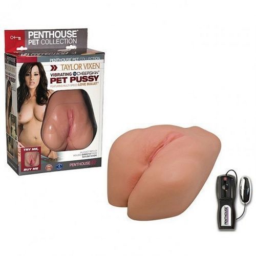 Вагина реалистичная с вибрацией 1097020 TS 