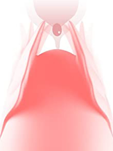 Вибрирующее яйцо Zalo Amorette с дистанционным управлением Pink фото 6