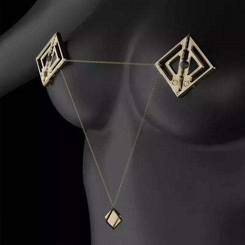 Дизайнерские зажимы на соски с подвеской LOCKINK  025-А-ZH фото 5