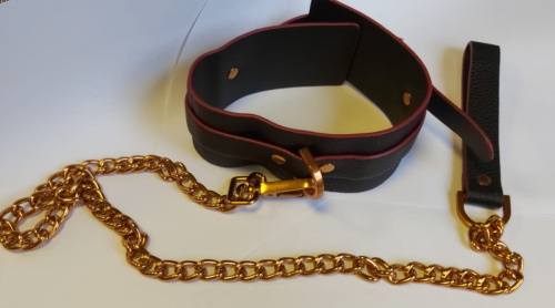 Ошейник с поводком DESIRE