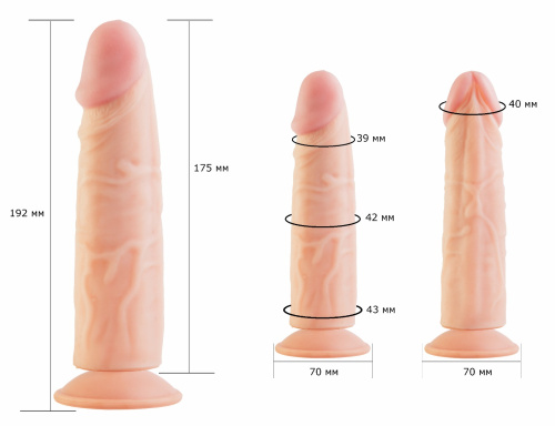 Реалистичный фаллоимитатор  на присоске Витас + подарок