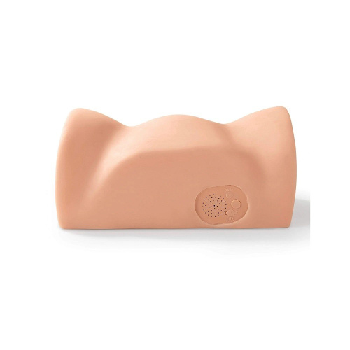 PDX Interactive Bad Girl Мастурбатор полуторс вагина+анус с вибрацией и голосовым сопровождением фото 6