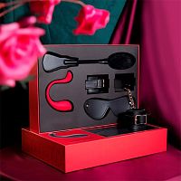 Svakom Unlimited Pleasure лимитированный подарочный набор LIMITED EDITION BDSM GIFT BOX