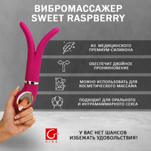 Вибратор универсальный "Gvibe 2" Sweet Raspberry фото 3