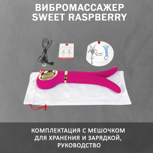Вибратор универсальный "Gvibe 2" Sweet Raspberry фото 7