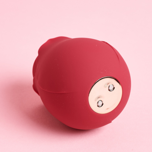 СИЛИКОНОВАЯ РОЗА Midnight SHD-D3605 фото 6