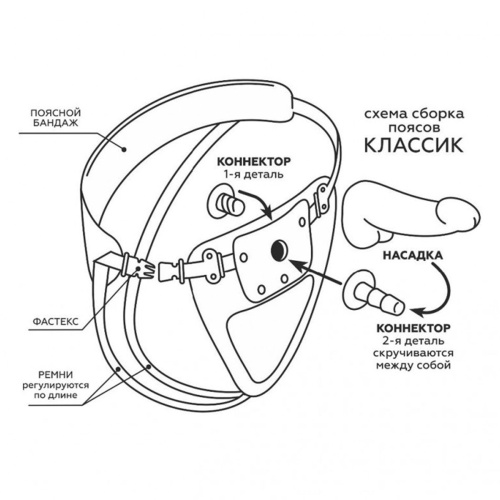 Фаллоимитатор с поясом "Harness" 280903 RU фото 9