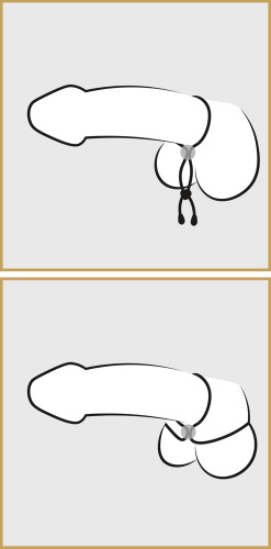 Лассо на пенис и мошонку Doppel-Penisschlaufe фото 5